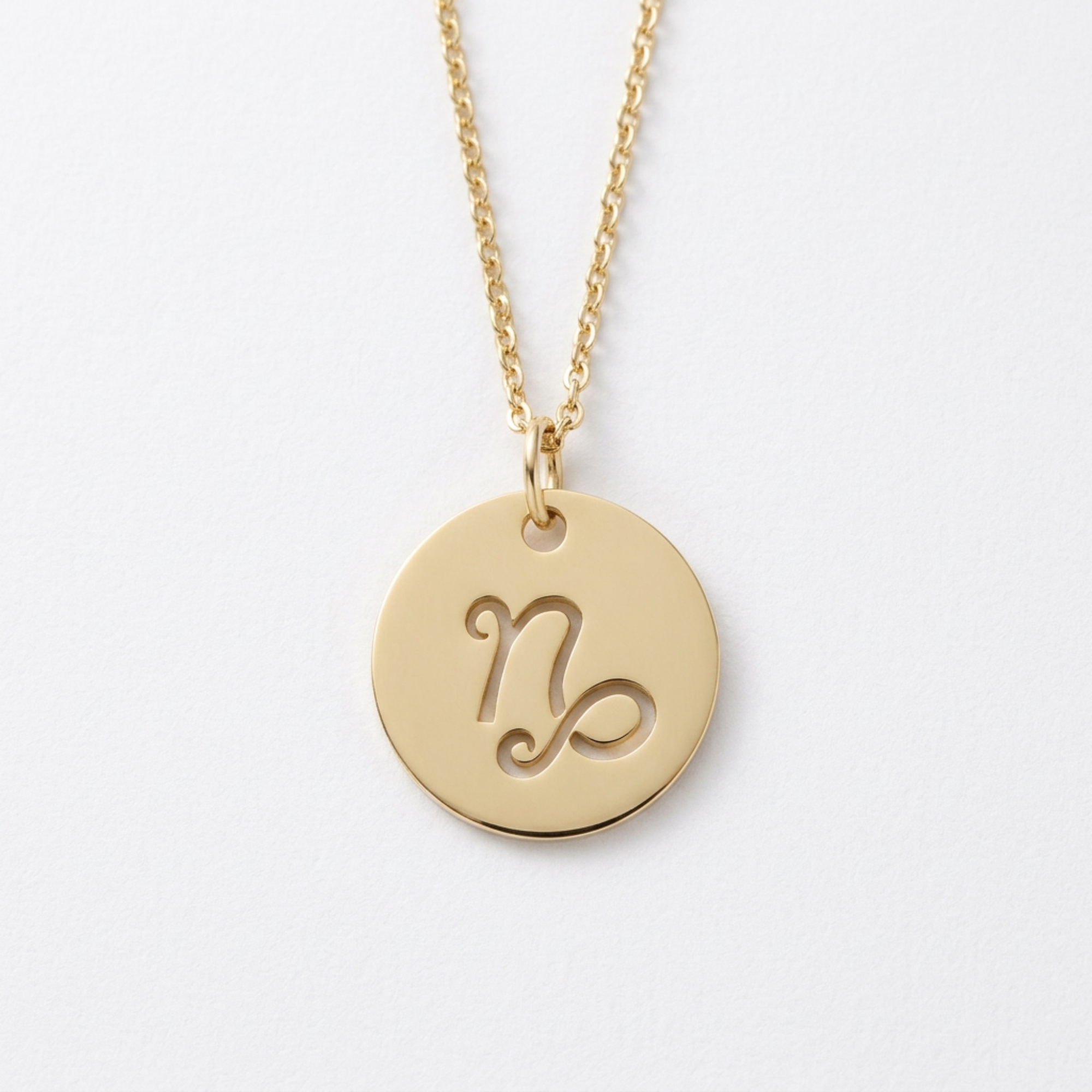 The Zodiac Necklace | Capricorn | 14K Gold