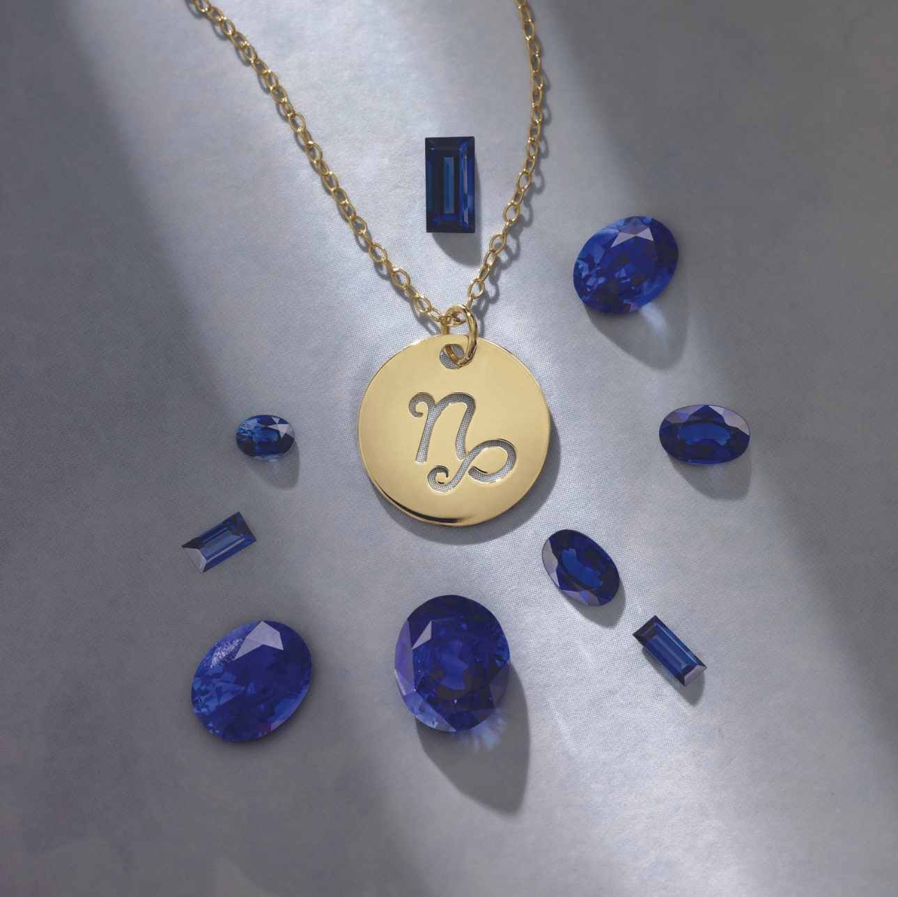 The Zodiac Necklace | Capricorn | 14K Gold