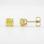 The Everyday Stud | Yellow Sapphire